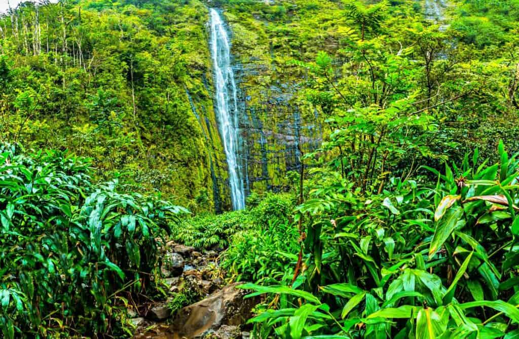 Stunning 400-foot Waimoku Falls, against a lush green cliffside backdrop | Hana to Pipiwai Trail